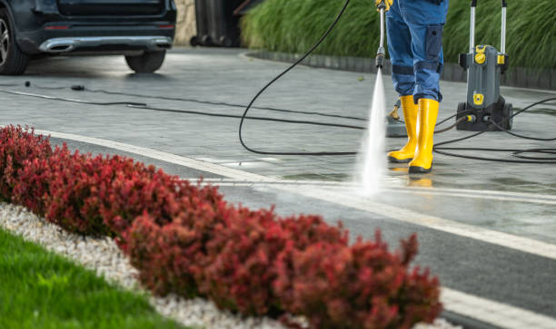 Best Fence Cleaning  in Calcium, NY